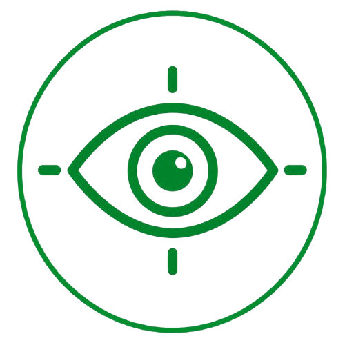 Vision